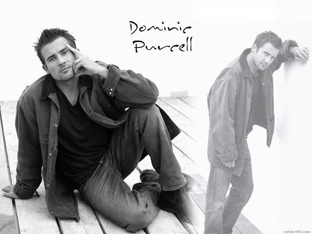... Purcell - High quality image size 1024x768 of Dominic Purcell Photos