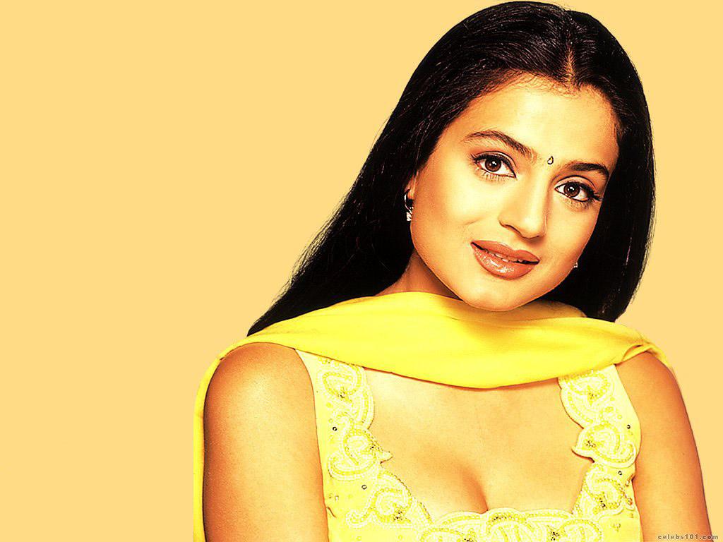 Ameesha Patel High quality wallpaper size 1024x768 of ...